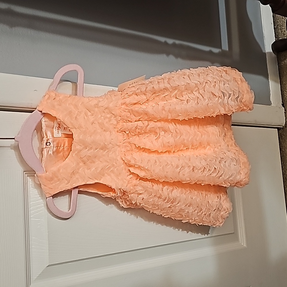NWT Cat & Jack orange Creamsicle 🍊 colored 2 piece set with matching panties
